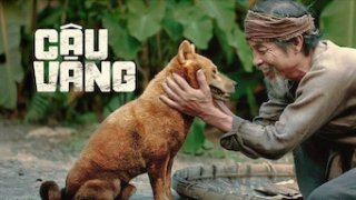 Cậu Vàng - The Old Man