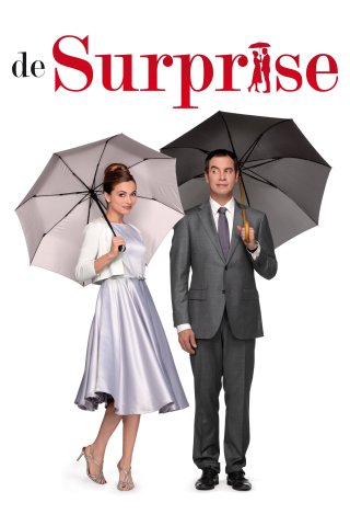 Bất ngờ - The Surprise (2015)