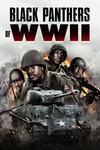 Black Panthers Of Wwii - Black Panthers Of Wwii (2025)