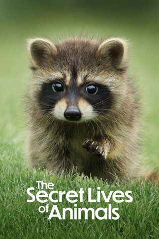 Phim Bí Ẩn Về Thế Giới Động Vật - The Secret Lives of Animals (2024)