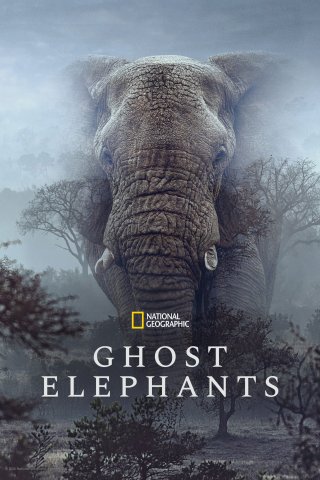 Ghost Elephants - Ghost Elephants (2026)