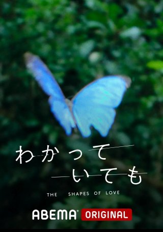 DẪU BIẾT DÁNG HÌNH TÌNH YÊU - The Shapes of Love (2024)