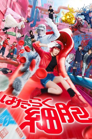 Khi tế bào làm việc - Cells at Work! (2024)