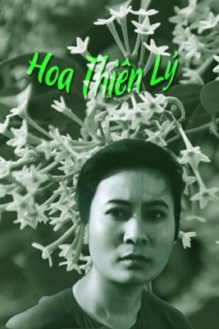 Hoa Thiên Lý - Tonkin Jasmine Flower (1973)