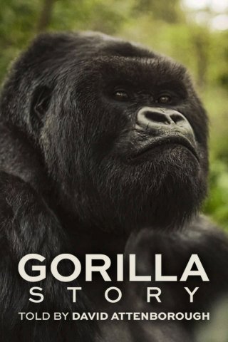 Hành Trình Của Khỉ Đột – Qua Giọng Kể David Attenborough - A Gorilla Story: Told by David Attenborough (2026)