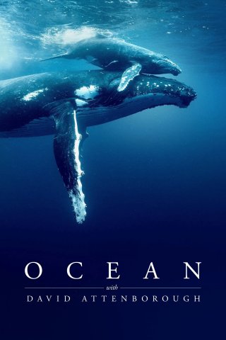 Ocean with David Attenborough - Ocean with David Attenborough (2025)