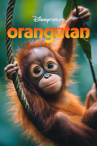 Phim Orangutan - Orangutan (2026)