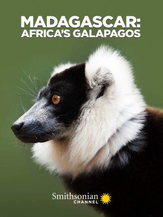 Madagascar: Africa