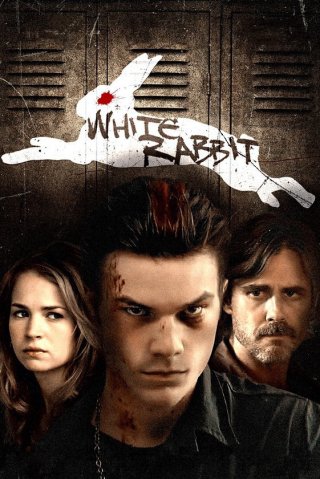 Phim Thỏ trắng - White Rabbit (2013)
