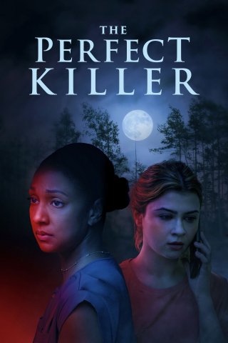The Perfect Killer - The Perfect Killer (2025)