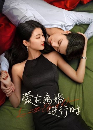 Phim Yêu Khi Sắp Ly Hôn - Love in the Edge of Divorce (2025)