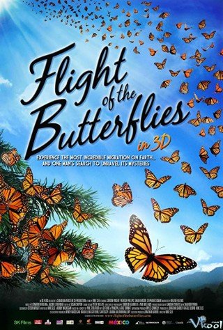Phim Cuộc Di Cư Của Loài Bướm - Imax - Flight Of The Butterflies (2012)