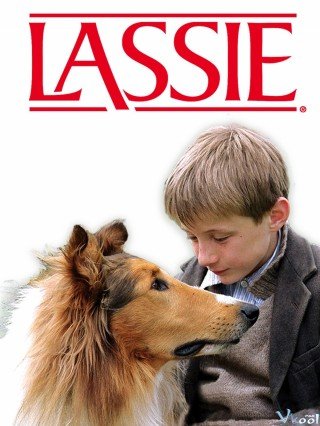 Phim Lassie Về Nhà - Lassie (2005)