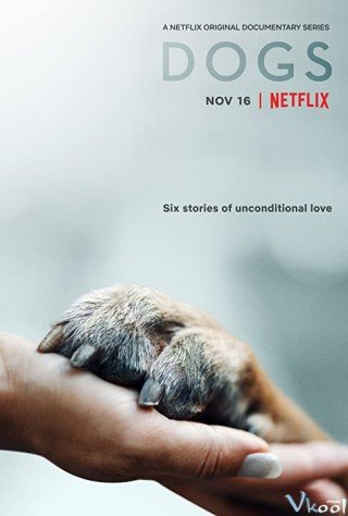 Phim Những Chú Chó 2 - Dogs Season 2 (2021)