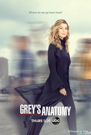 Ca Phẫu Thuật Của Grey 16 - Grey's Anatomy Season 16 2019