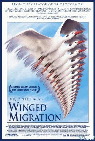 Phim Những Cánh Chim Di Cư - Winged Migration (2001)