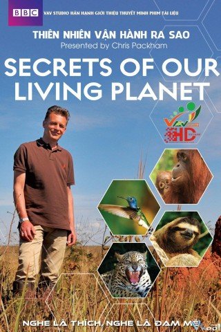 Thiên Nhiên Vận Hành Như Thế Nào - Bbc - Secrets Of Our Living Planet 2012