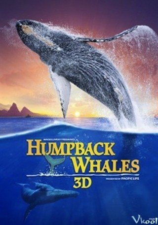 Phim Cá Voi Lưng Gù - Humpback Whales (2015)