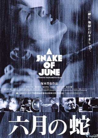 Phim Giấc Mộng Liêu Trai - A Snake Of June (2002)