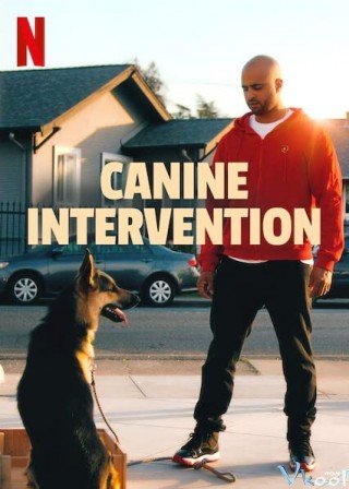 Cali K9: Trường Huấn Khuyển - Canine Intervention (2021)