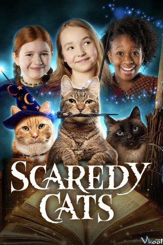 Mèo Nhát - Scaredy Cats 2021