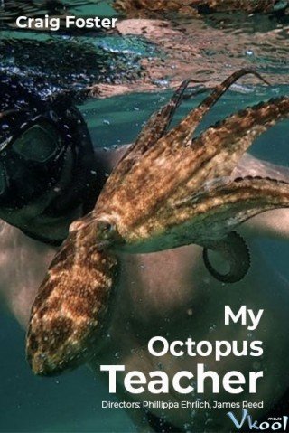 Phim Cô Giáo Bạch Tuộc - My Octopus Teacher (2020)