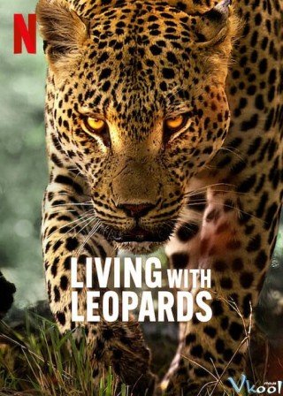 Sống Cùng Báo Hoa - Living With Leopards (2024)