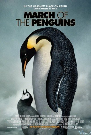 Phim Hành Khúc Chim Cánh Cụt - March Of The Penguins (2005)