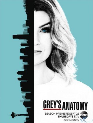 Ca Phẫu Thuật Của Grey 13 - Grey's Anatomy Season 13 (2016)