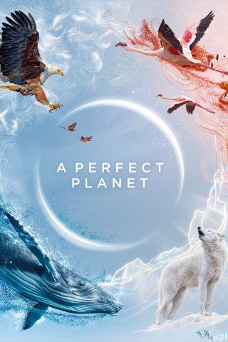 Phim Hành Tinh Tuyệt Vời - A Perfect Planet (2021)