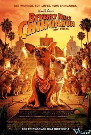 Những Chú Chó Chihuahua Ở Đồi Beverly - Beverly Hills Chihuahua (2008)