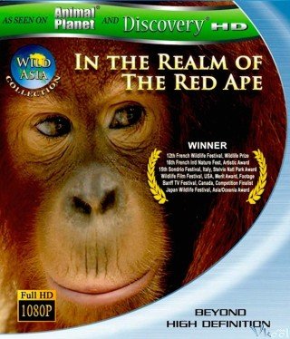 Phim Thiên Nhiên Châu Á Hoang Dã - Wild Asia (1998-2010)