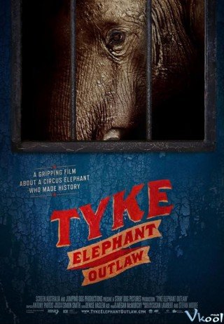 Phim Tyke: Chú Voi Nổi Loạn - Tyke: Elephant Outlaw (2015)