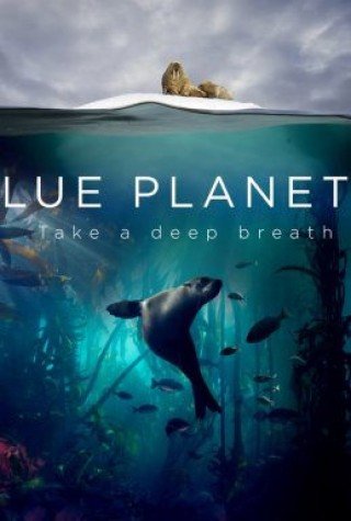 Đại Dương Sâu Thẳm 2 - Blue Planet Ii Season 1 2017