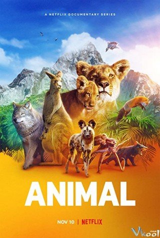 Phim Động Vật - Animal (2021)