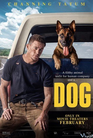 Chó Đặc Vụ - Dog (2022)
