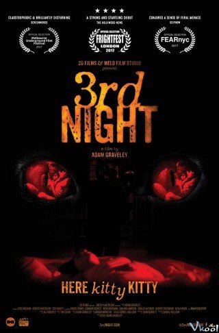 Đêm Thứ 3 Kinh Hoàng - 3rd Night (2017)