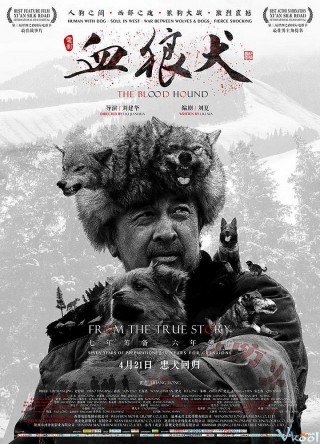 Chú Chó Anh Dũng - The Blood Hound (2017)