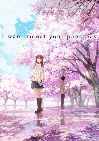 Tớ Muốn Ăn Tụy Của Cậu - Let Me Eat Your Pancreas (2018)