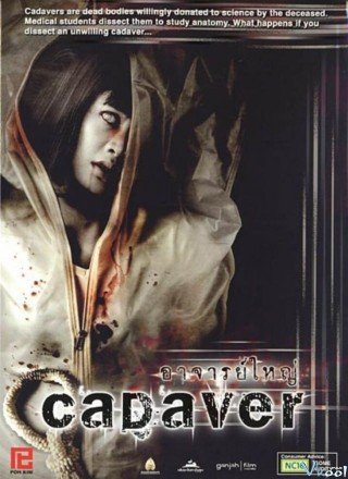 Xác Chết Bí Ẩn - Cadaver (2006)