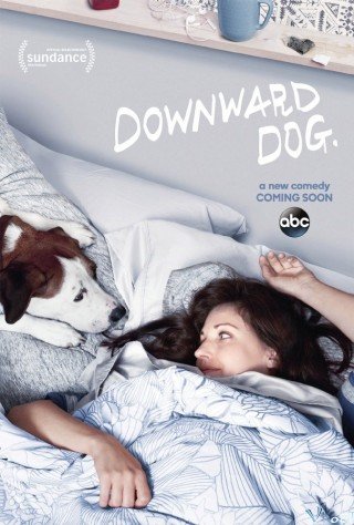 Góc Nhìn Của Chó 1 - Downward Dog Season 1 2017