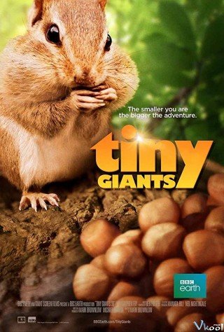 Phim Thiên Nhiên Kì Thú - Tiny Giants 3d (2014)