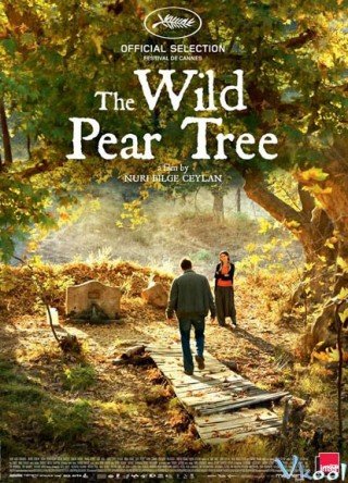 Cây Lê Dại - The Wild Pear Tree 2018