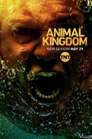 Vương Quốc Động Vật 3 - Animal Kingdom Season 3 2018