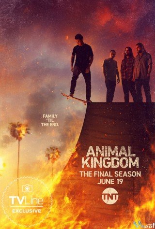 Vương Quốc Động Vật 6 - Animal Kingdom Season 6 2022