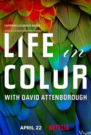 Phim David Attenborough: Sự Sống Đầy Màu Sắc - Life In Colour With David Attenborough (2021)