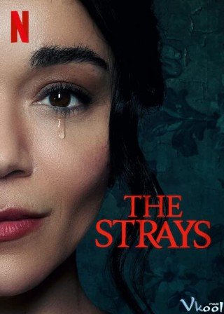 Kẻ Lạc Đường - The Strays (2023)