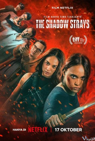 Phim Sát Thủ Mật Danh 13 - The Shadow Strays (2024)