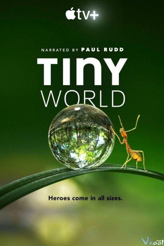 Thế Giới Tí Hon Phần 1 - Tiny World Season 1 2020