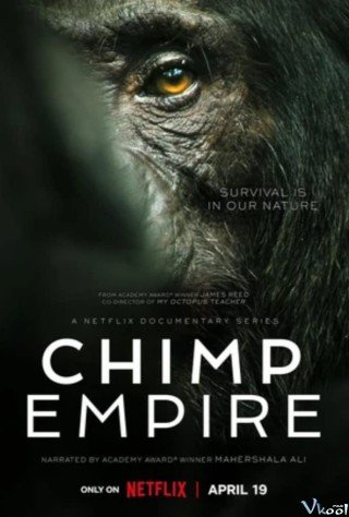 Đế Chế Tinh Tinh - Chimp Empire 2023